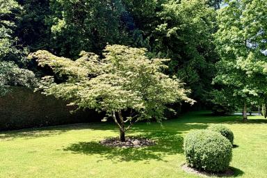 Une propriété d’exception à réinventer, au cœur d’un écrin de verdure  image