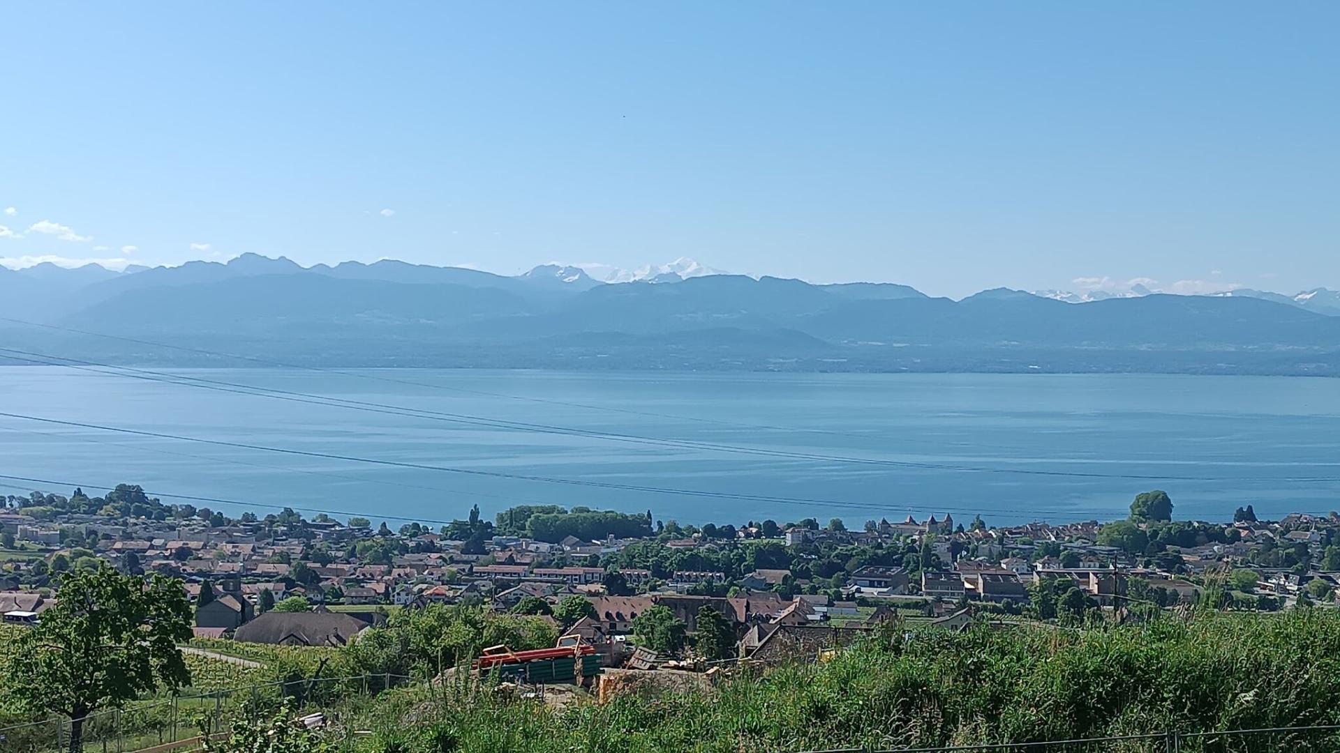 Élégante maison familiale avec vue panoramique sur le Léman et le Mont