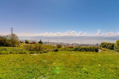 Élégante maison familiale avec vue panoramique sur le Léman et le Mont
