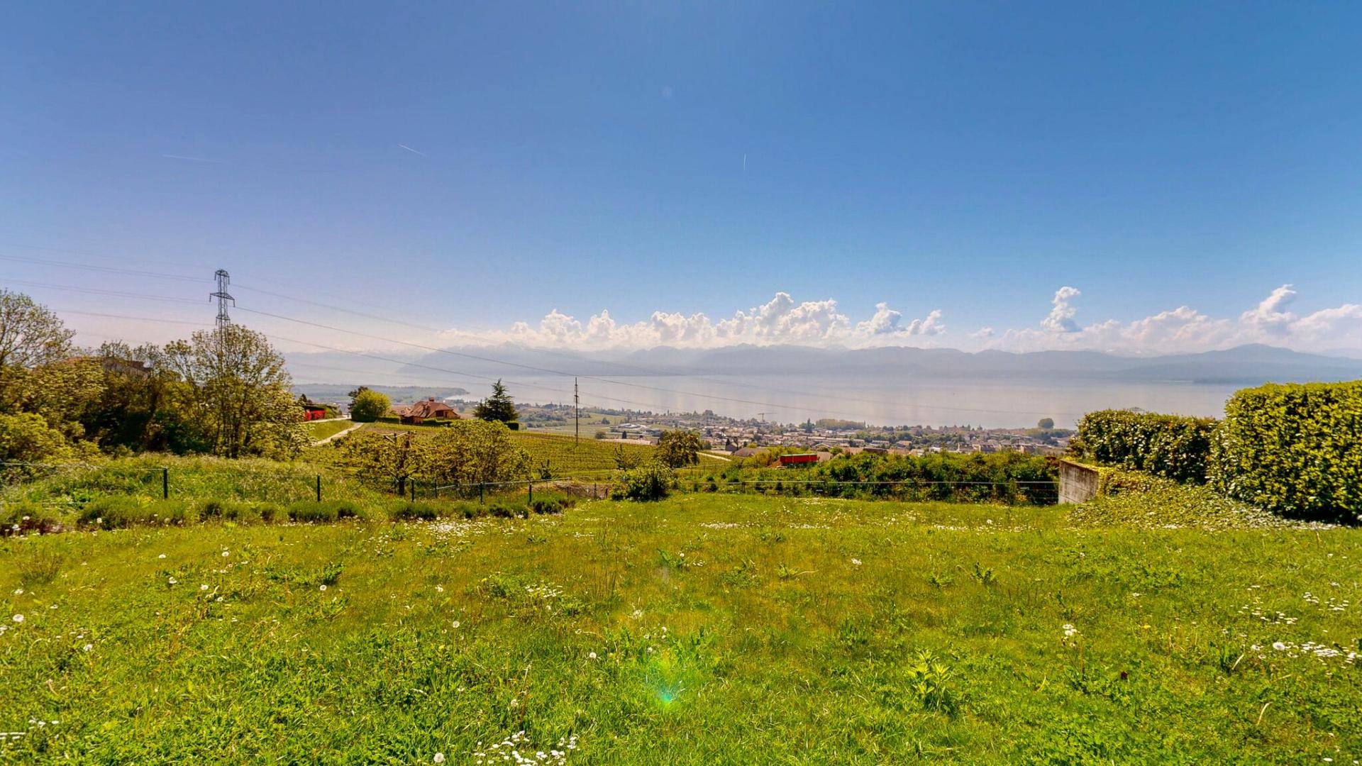 Élégante maison familiale avec vue panoramique sur le Léman et le Mont