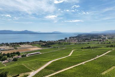 Villa contemporaine d’exception aux portes de Genève image