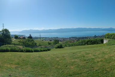 Élégante maison familiale avec vue panoramique sur le Léman et le Mont image