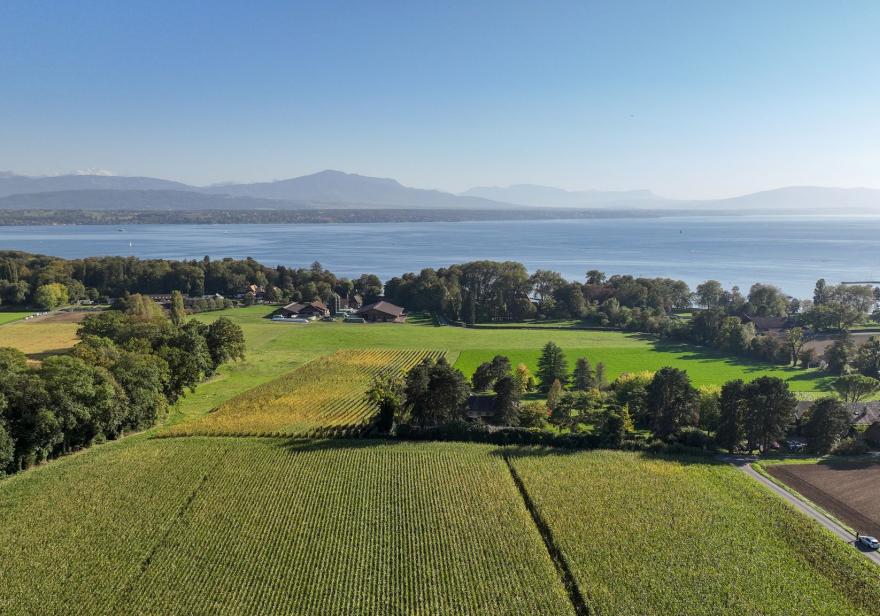 Élégante Propriété à Prangins: 1 Hectare avec Piscine