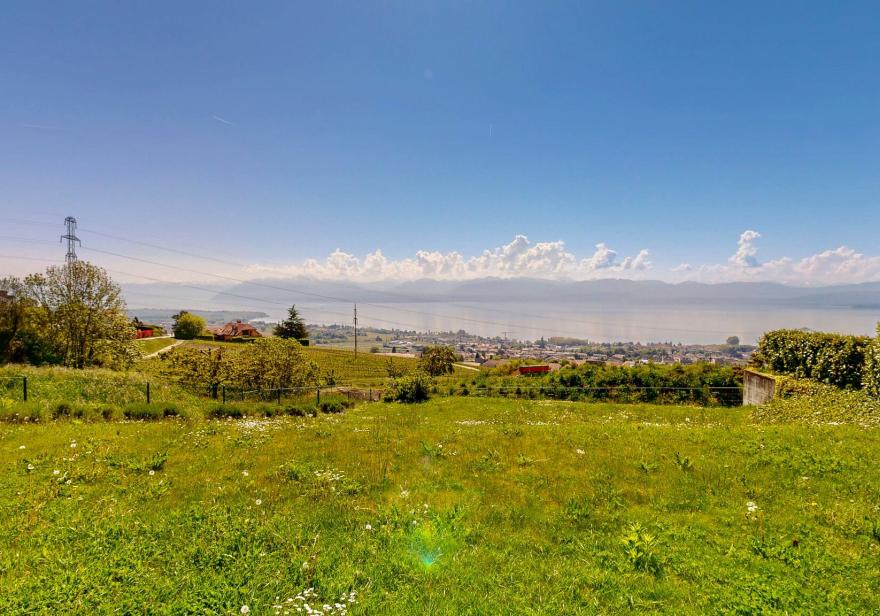 Élégante maison familiale avec vue panoramique sur le Léman et le Mont